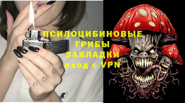дмт Алексеевка